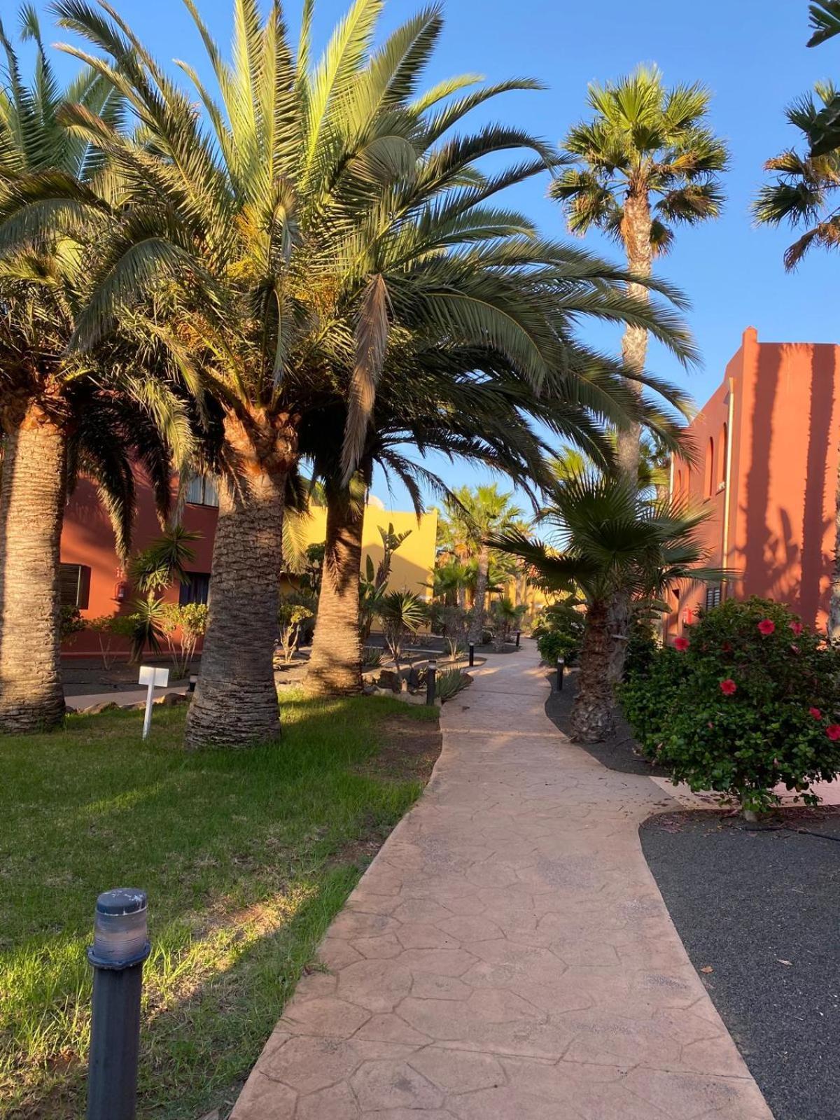 Adamsurfcom Lägenhet Corralejo Exteriör bild